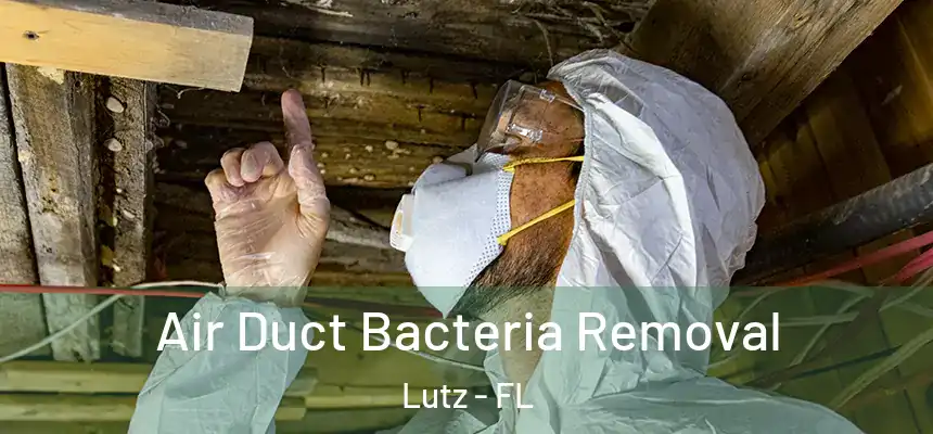 Air Duct Bacteria Removal Lutz - FL