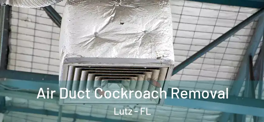Air Duct Cockroach Removal Lutz - FL