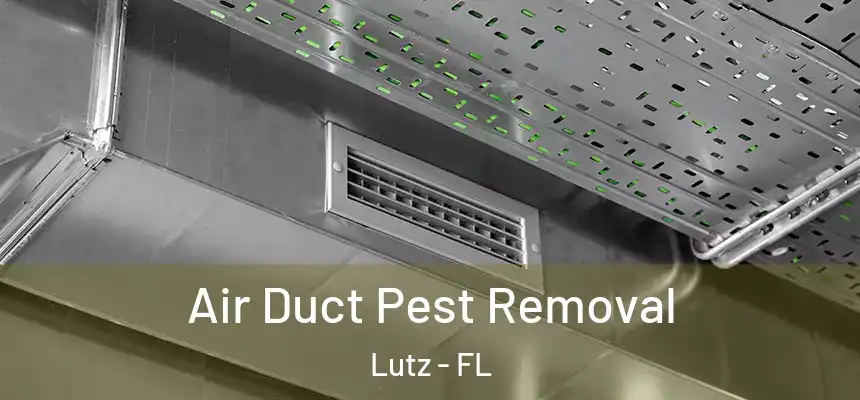 Air Duct Pest Removal Lutz - FL