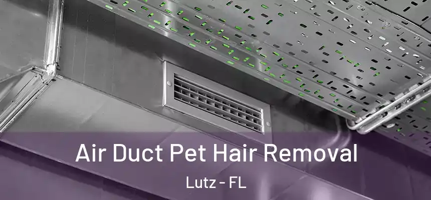  Air Duct Pet Hair Removal Lutz - FL