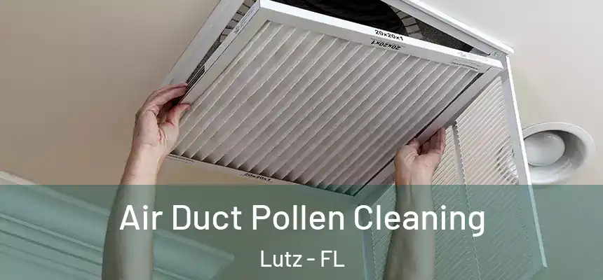 Air Duct Pollen Cleaning Lutz - FL
