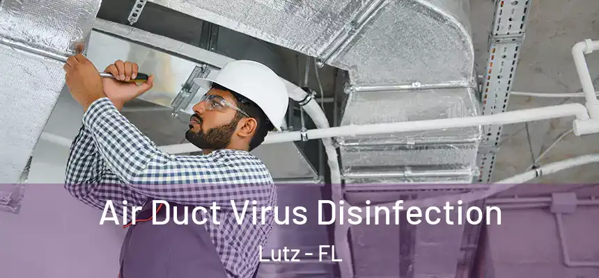 Air Duct Virus Disinfection Lutz - FL