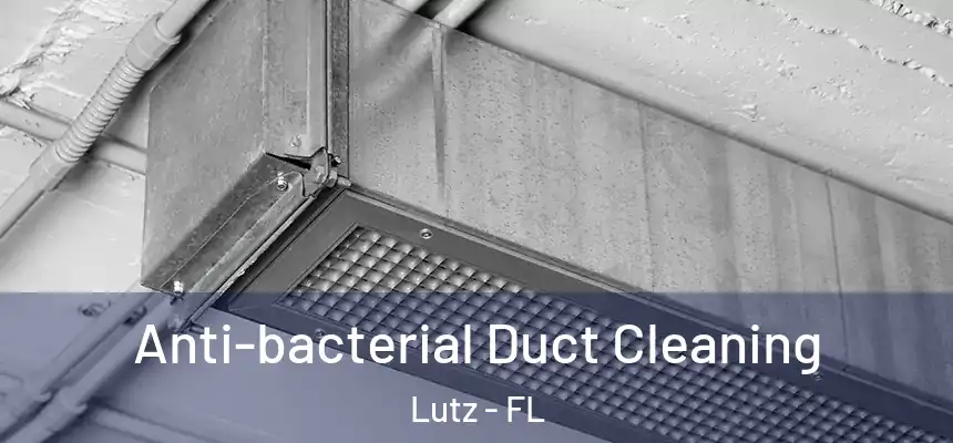 Anti-bacterial Duct Cleaning Lutz - FL