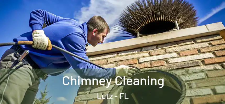 Chimney Cleaning Lutz - FL