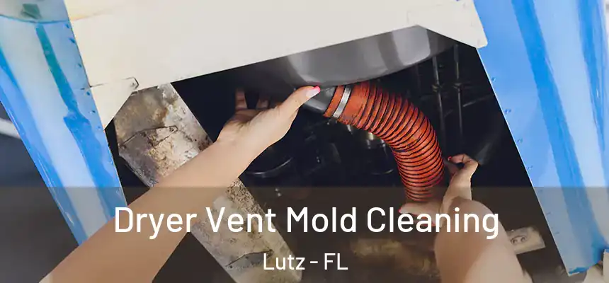  Dryer Vent Mold Cleaning Lutz - FL