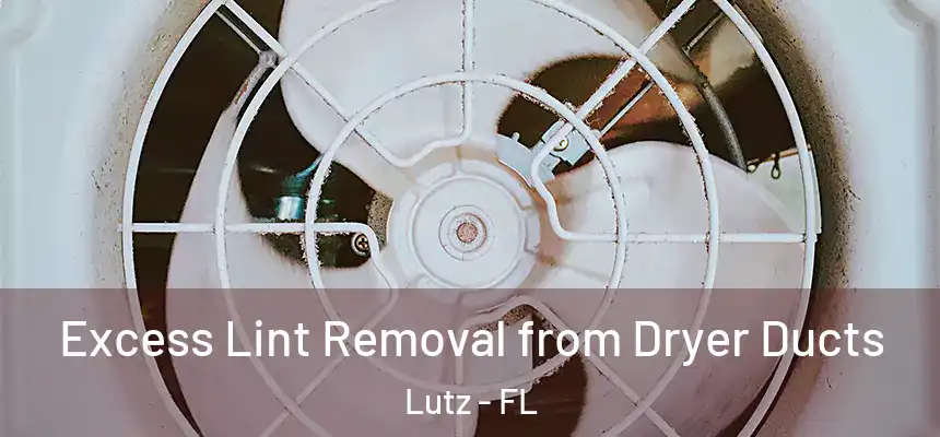 Excess Lint Removal from Dryer Ducts Lutz - FL