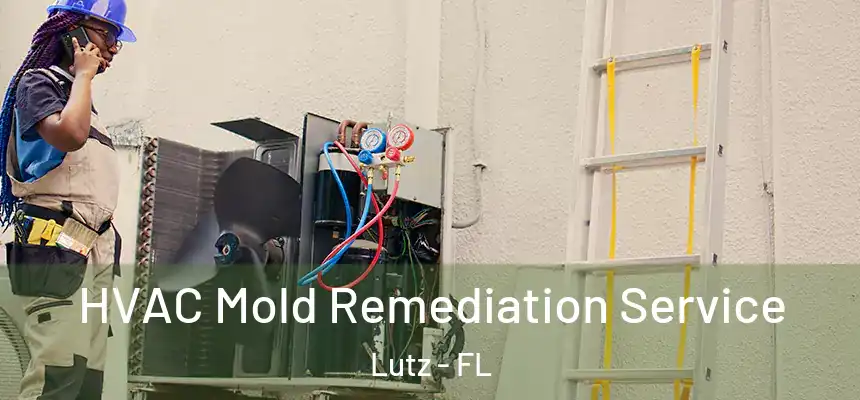  HVAC Mold Remediation Service Lutz - FL