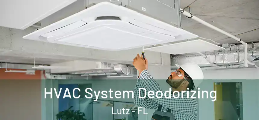 HVAC System Deodorizing Lutz - FL