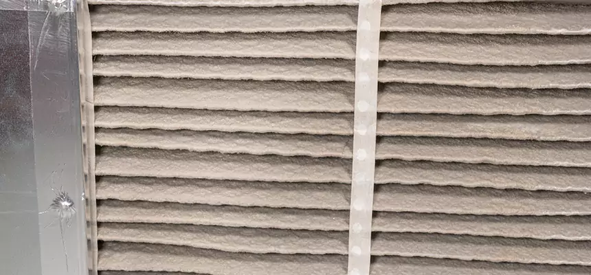 Mobile Car AC Filter Replacement in Lutz