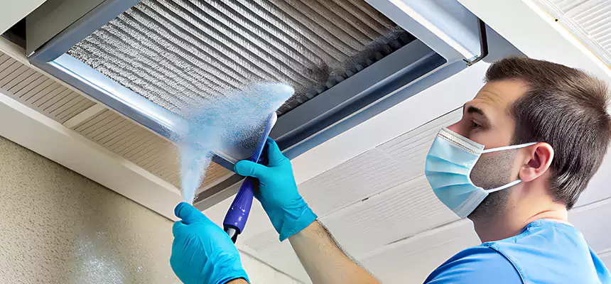 Proactive Dryer Vent & Auxiliary Duct Pollen Cleanup in Lutz, FL