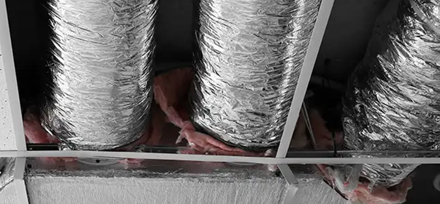 Scalable Commercial Multi‑Unit Dryer Vent Camera Inspection in Lutz, FL