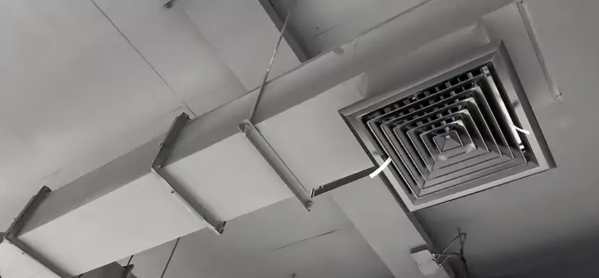 Our Rodent Droppings In Vents Services in Lutz, FL