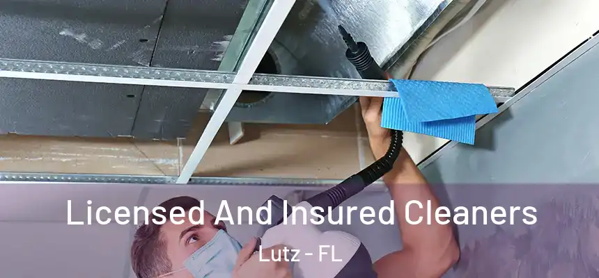  Licensed And Insured Cleaners Lutz - FL