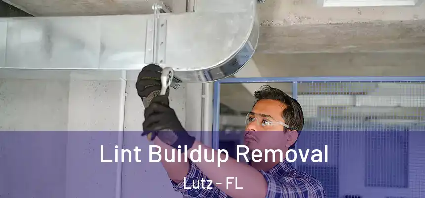 Lint Buildup Removal Lutz - FL