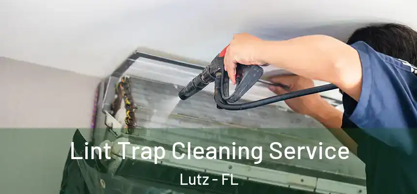 Lint Trap Cleaning Service Lutz - FL