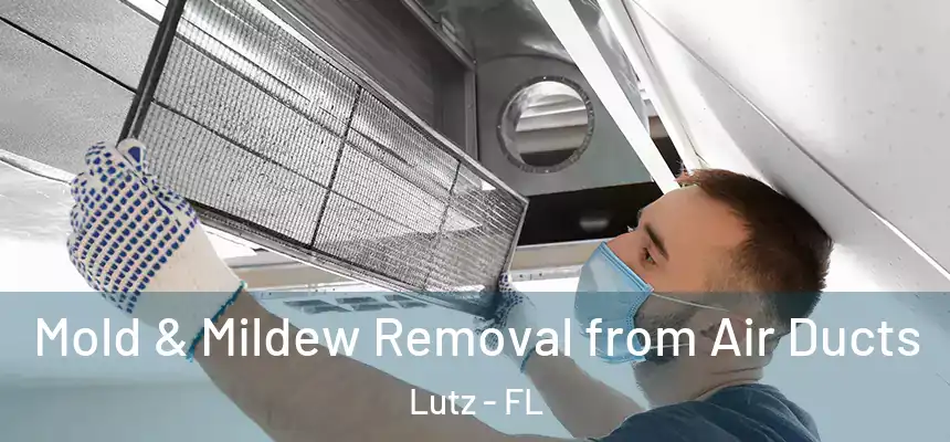 Mold & Mildew Removal from Air Ducts Lutz - FL