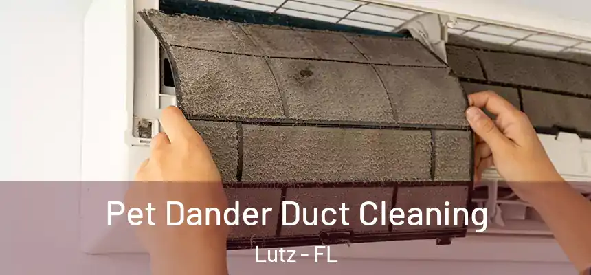 Pet Dander Duct Cleaning Lutz - FL
