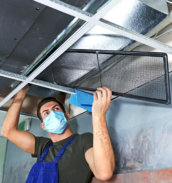 About Air Duct Bacteria Removal in Lutz