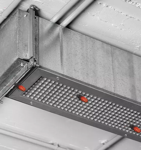 About Air Duct Cockroach Removal in Lutz, FL