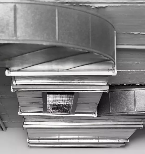 Professional Air Duct Pet Hair Removal in Lutz, FL