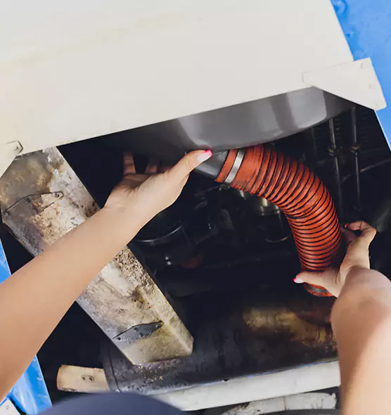 About Air Duct Virus Disinfection in Lutz, FL