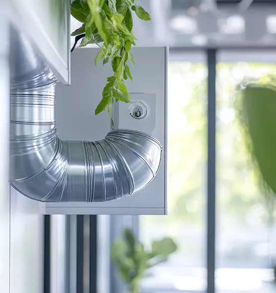 Professional Eco-Friendly Duct Cleaning Services in Lutz, FL