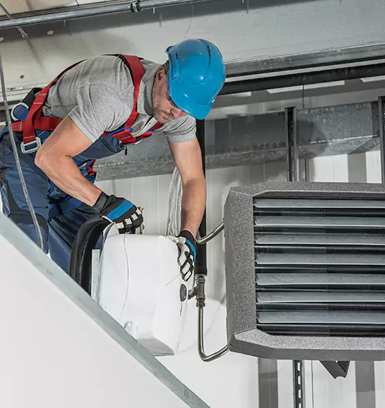 About HVAC Mold Remediation Service in Lutz, FL