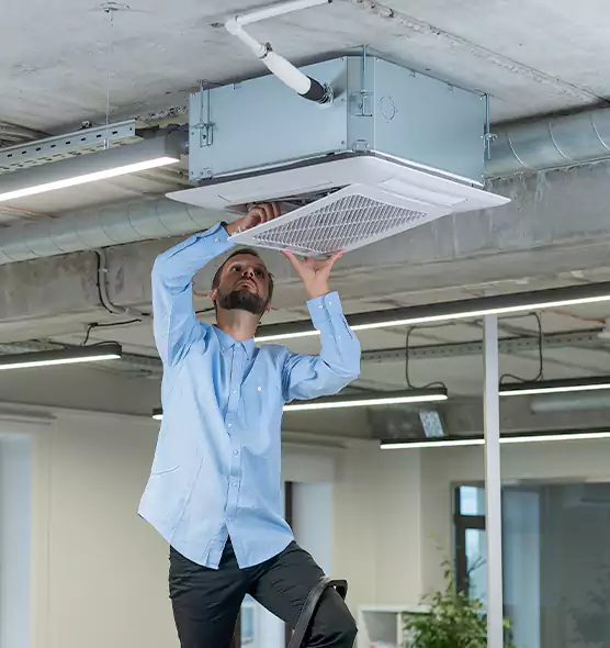 Advanced Rodent Droppings In Vents in Lutz, FL