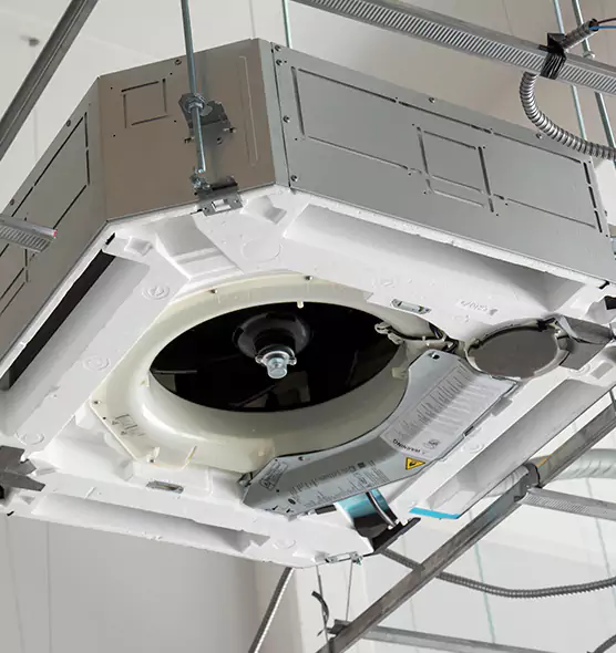 Professional Roof Vent Lint Removal Lutz, FL