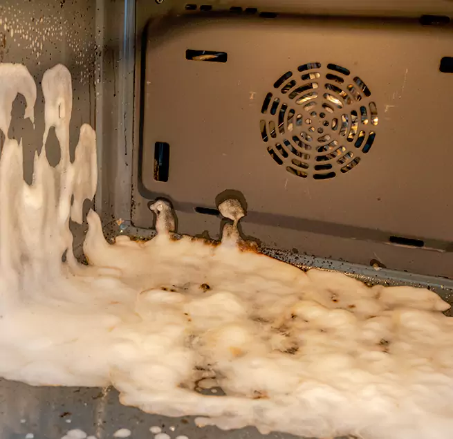 Why Homeowners & Businesses Trust Us in Lutz, FL?