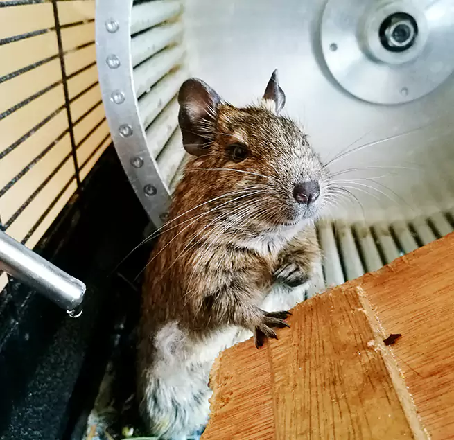 Why Homeowners & Businesses Trust Us Lutz, FL