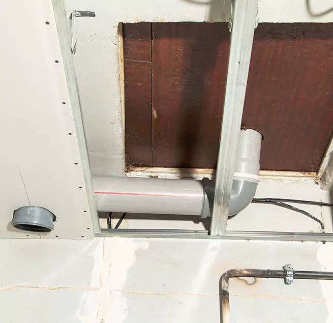 Why Homeowners & Businesses Trust Us in Lutz, FL?