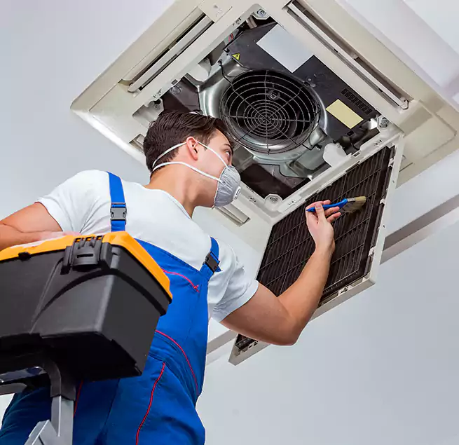 Why Homeowners & Businesses Trust Us in Lutz, FL