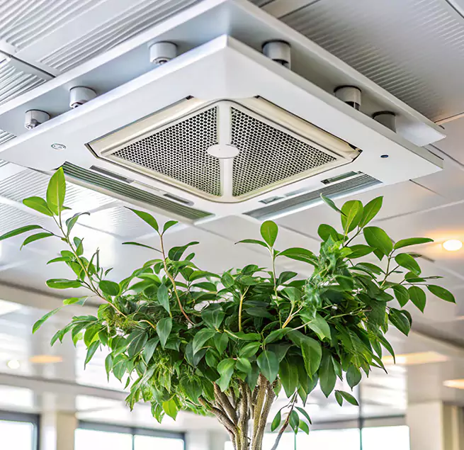 Why Homeowners & Businesses Trust Us in Lutz, FL?