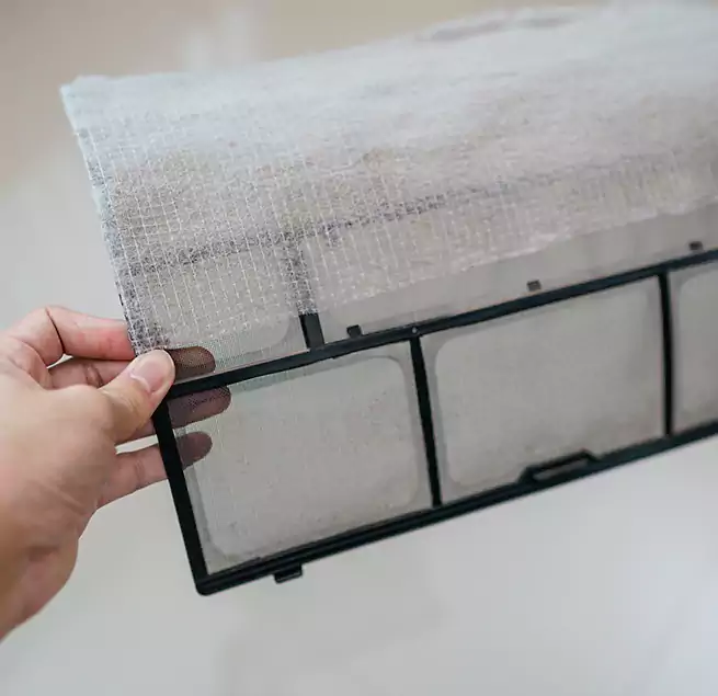 Why Homeowners & Businesses Trust Us in Lutz, FL?