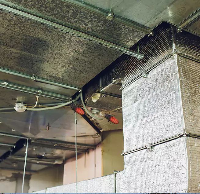 Why Homeowners & Businesses Trust Us Lutz, FL?