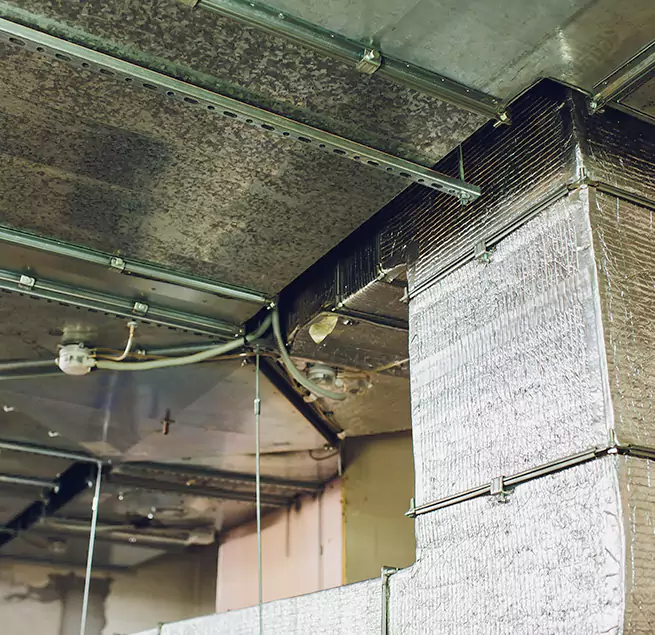 Why Homeowners & Businesses Trust Us in Lutz, FL?