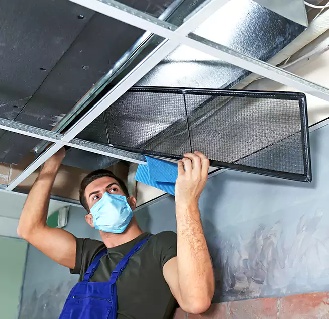 Why Homeowners Businesses Trust Us in Lutz, FL