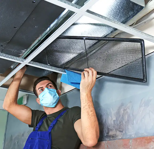 Why Homeowners & Businesses Trust Us in Lutz, FL?