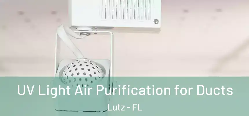  UV Light Air Purification for Ducts Lutz - FL