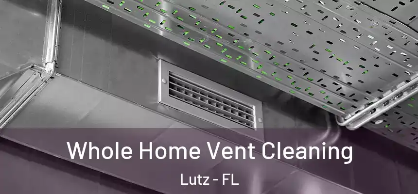  Whole Home Vent Cleaning Lutz - FL